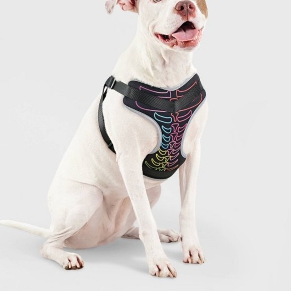 Hyde & EEK! Boutique Neon Skeleton Dog Harness Costume Size Large - Picture 1 of 6